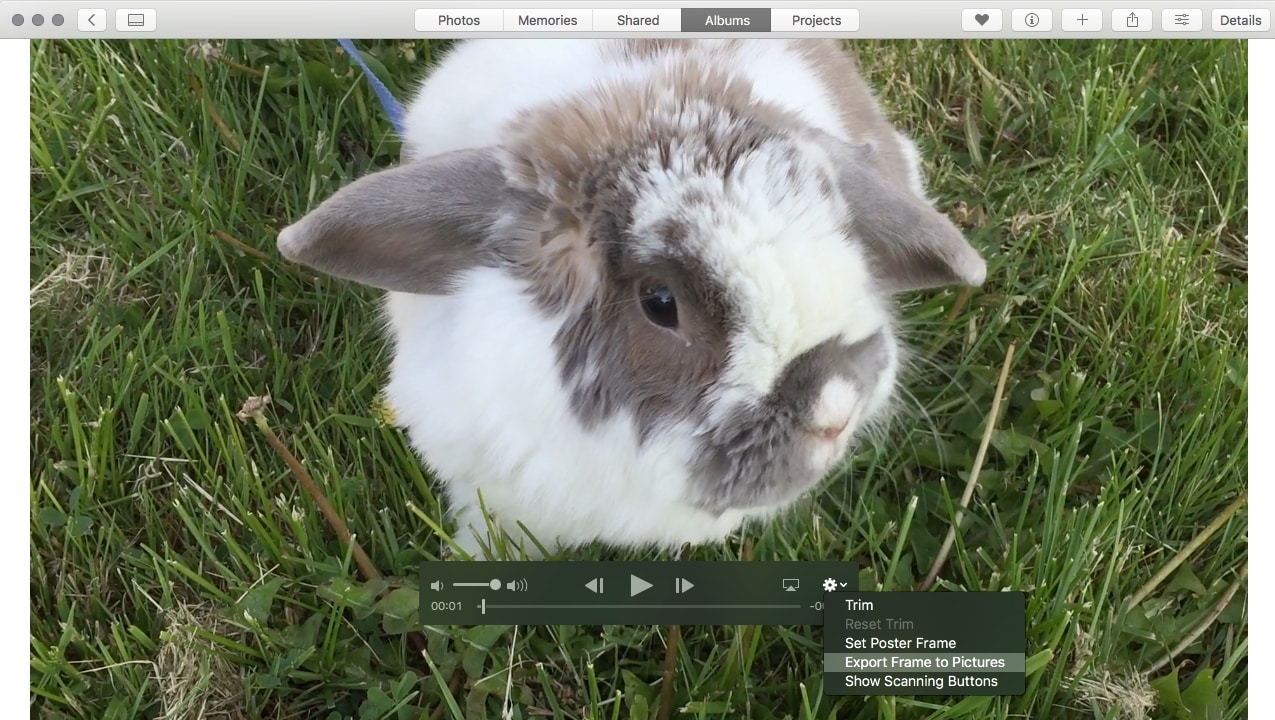 Extracting a still image from a video using macOS Photos