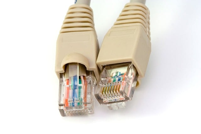 Verizon Router Ethernet Cable