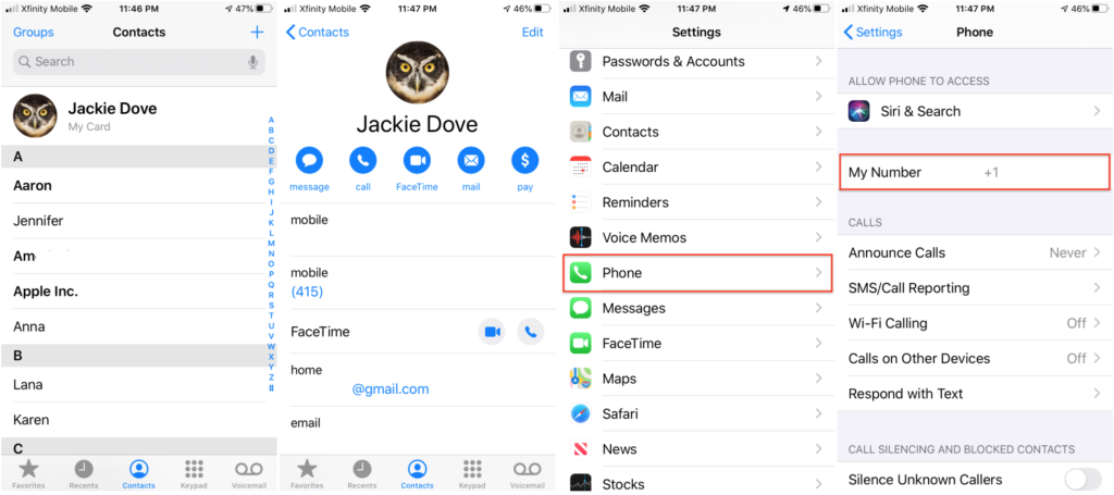 Check your phone number on iOS